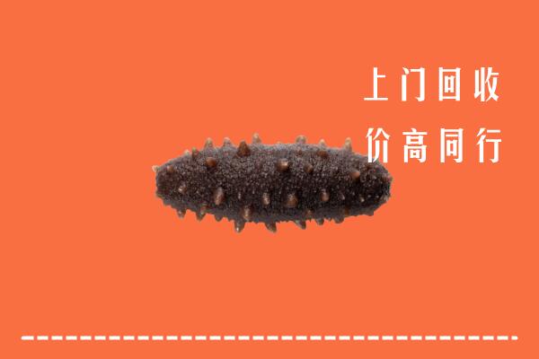 高价求购：哈密回收海参