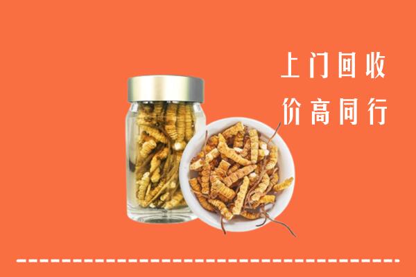 哈密回收冬虫夏草
