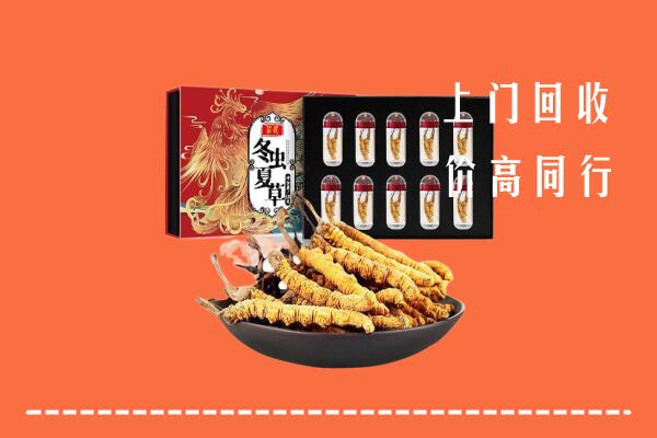 哈密回收虫草